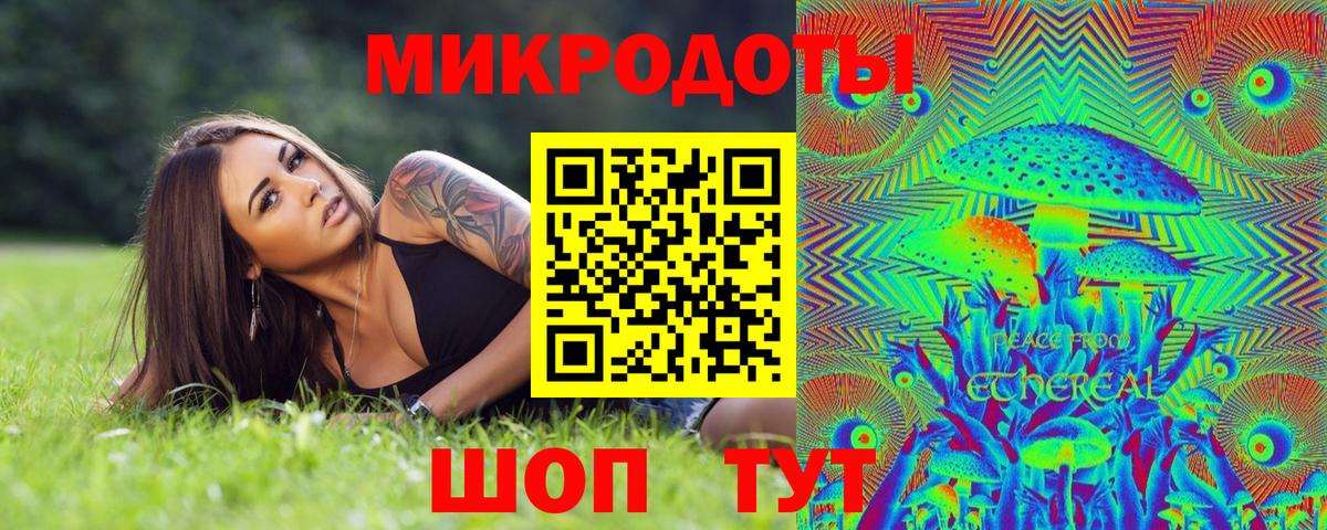 Псилоцибиновые грибы Psilocybine cubensis Баксан