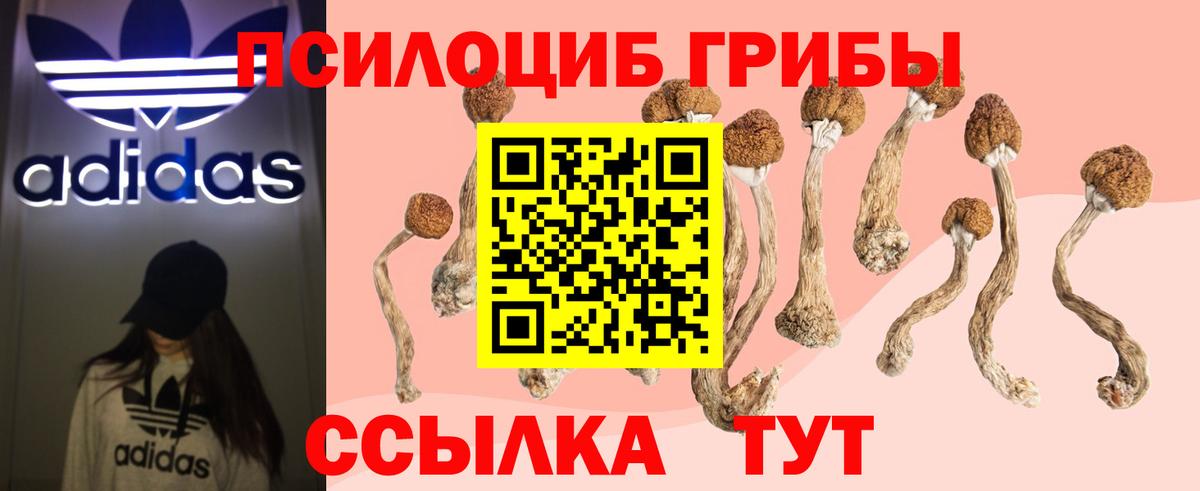 Баксан  Галлюциногенные грибы ЛСД  Вход с VPN  Псилоцибиновые грибы мухоморы 